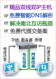 中网互联zwidc.com双线服务器智能DNS原理